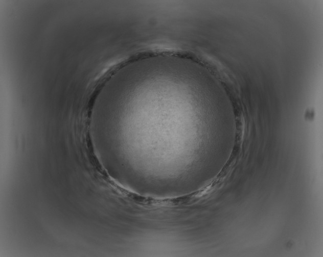 X0000094451157200711211512