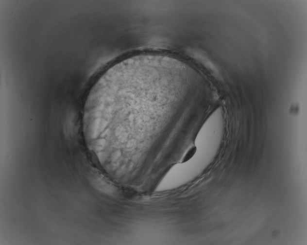 X0000094451160200711211512