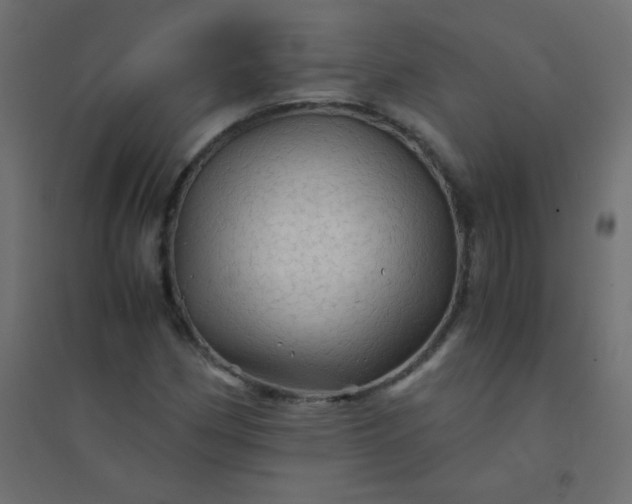 X0000094451162200711211512