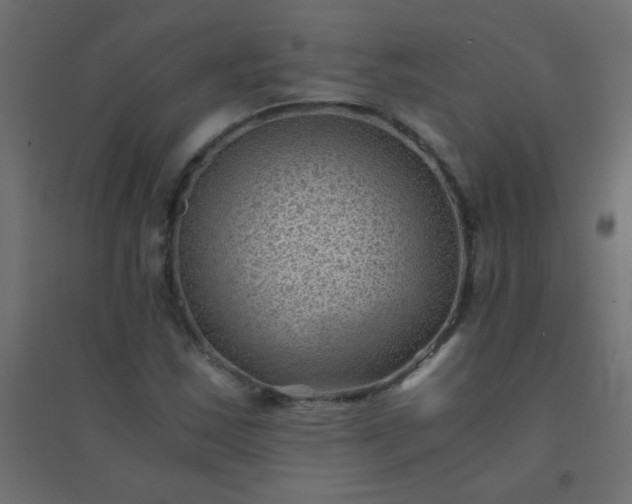 X0000094451163200711211512