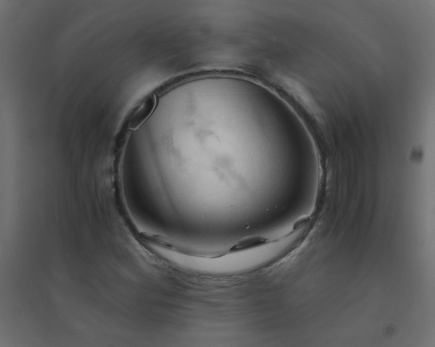 X0000094451164200711211512