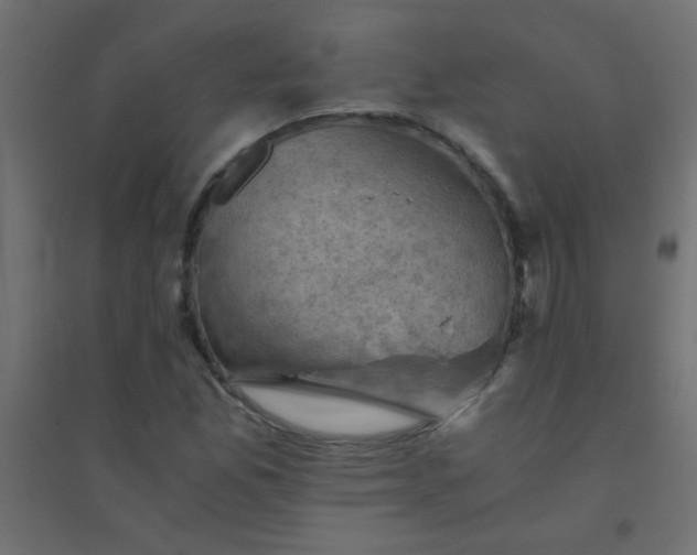 X0000094451165200711211512