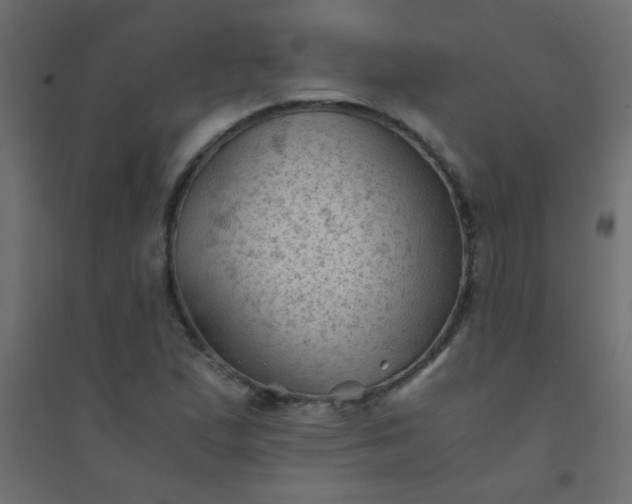 X0000094451167200711211512