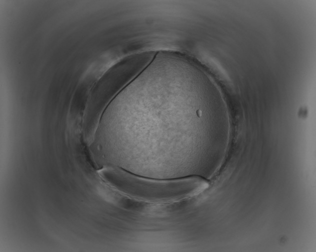 X0000094451169200711211512