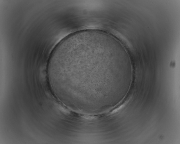 X0000094451170200711211512