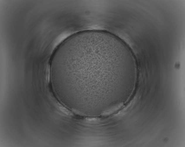 X0000094451171200711211512