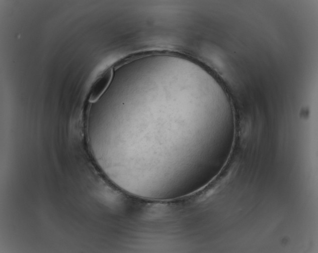 X0000094451172200711211512