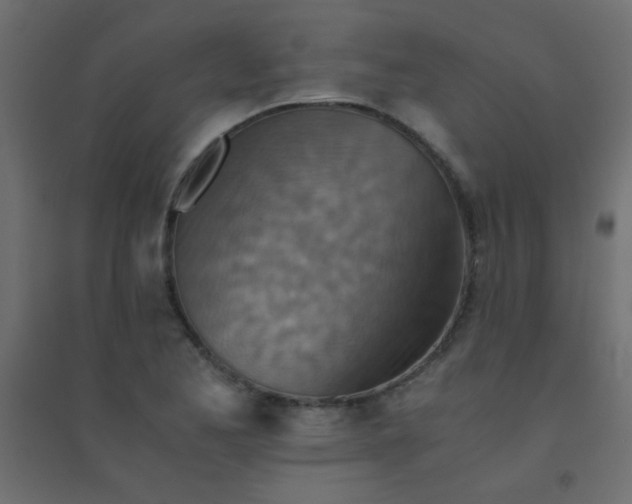 X0000094451173200711211512