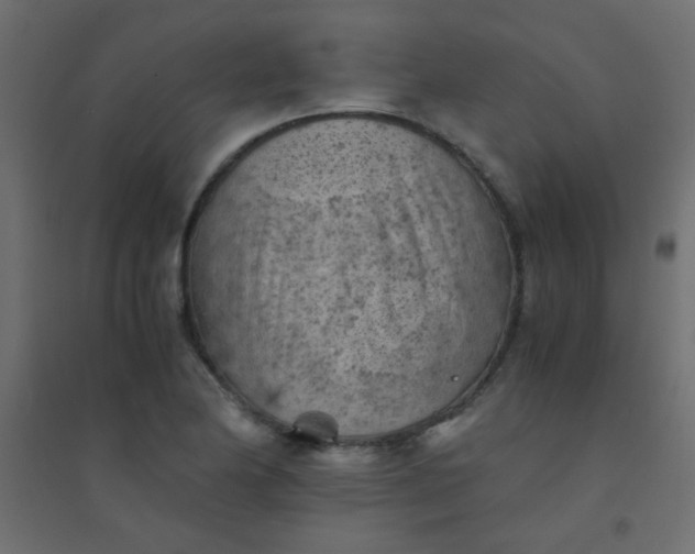 X0000094451174200711211512