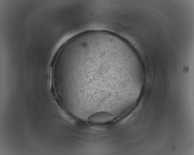 X0000094451175200711211512