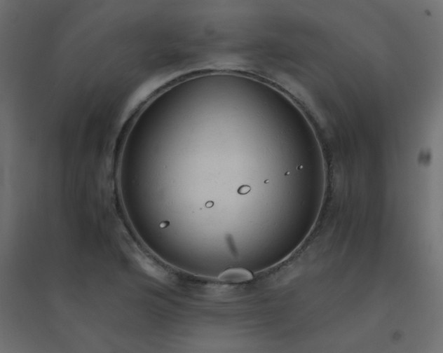 X0000094451176200711211512