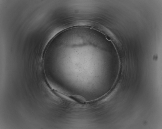 X0000094451178200711211512