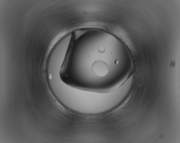 X0000094451180200711211512