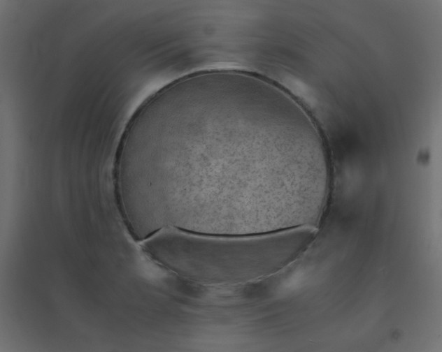 X0000094451181200711211512