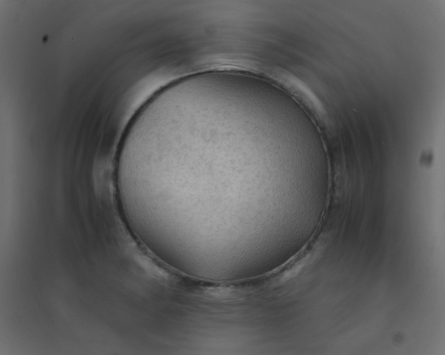 X0000094451182200711211512