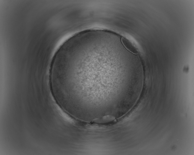 X0000094451183200711211512