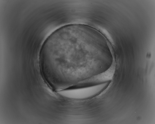 X0000094451184200711211512