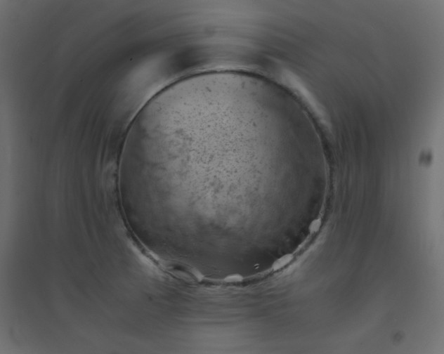 X0000094451185200711211512