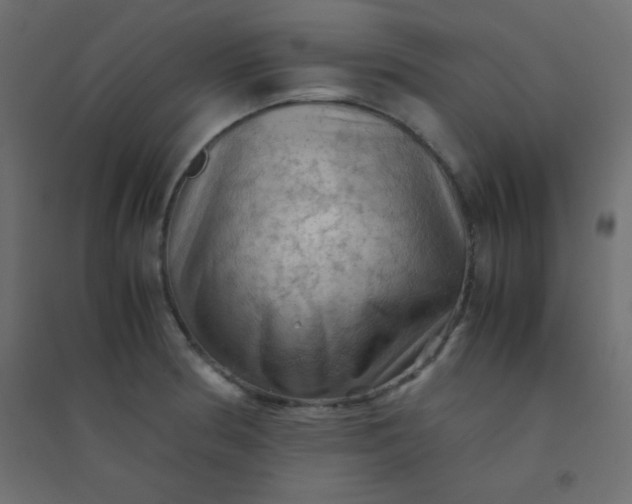 X0000094451186200711211512