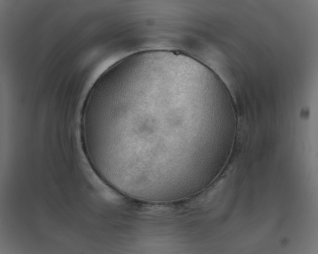 X0000094451187200711211512