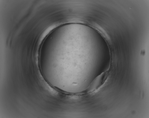 X0000094451188200711211512