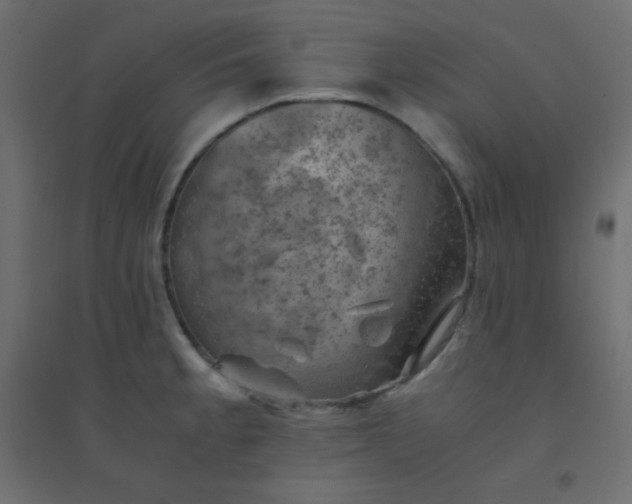 X0000094451189200711211512