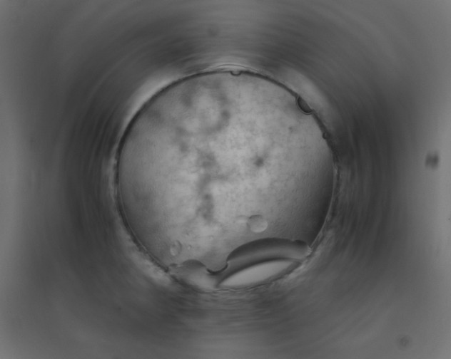 X0000094451190200711211512