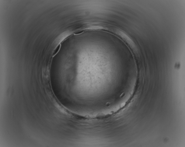 X0000094451193200711211512