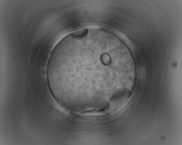 X0000094451194200711211512