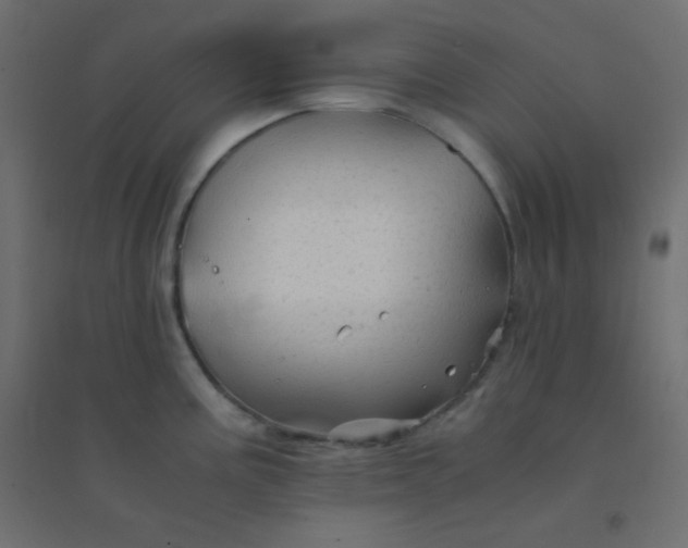 X0000094451195200711211512