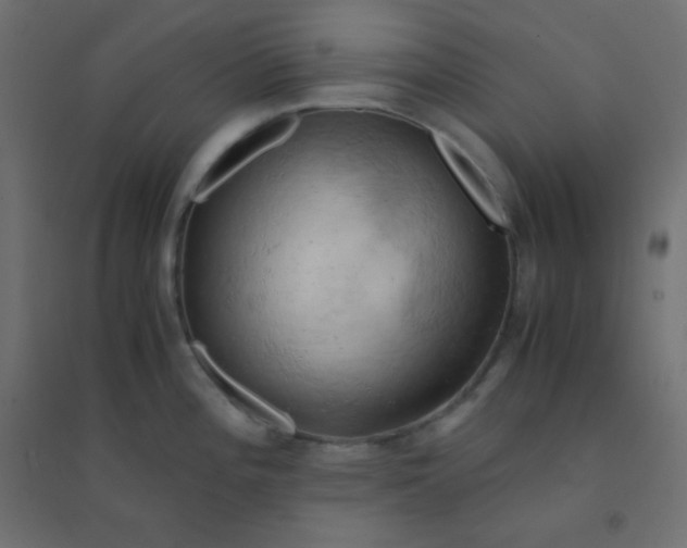 X0000094451196200711211512