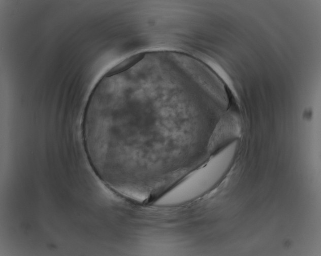 X0000094451197200711211512