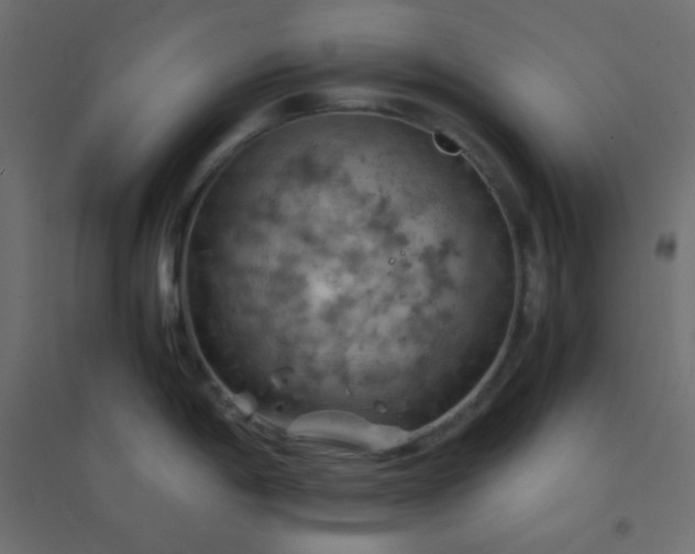 X0000094451198200711211511