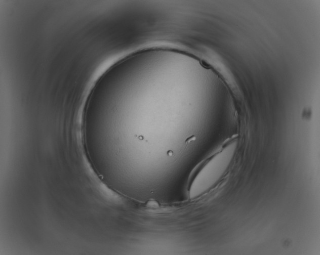 X0000094451199200711211511