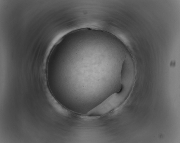 X0000094451200200711211511