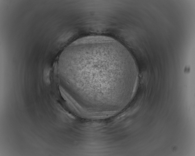 X0000094451202200711211511