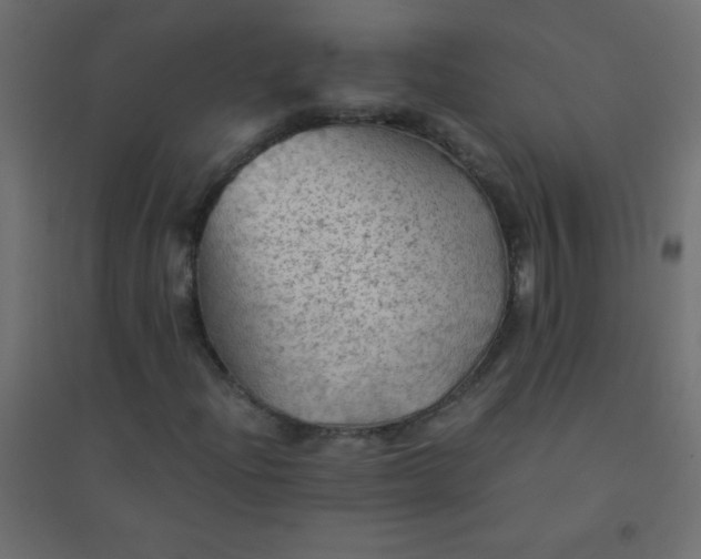 X0000094451204200711211511