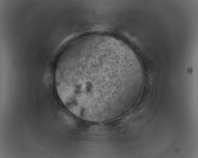 X0000094451206200711211511