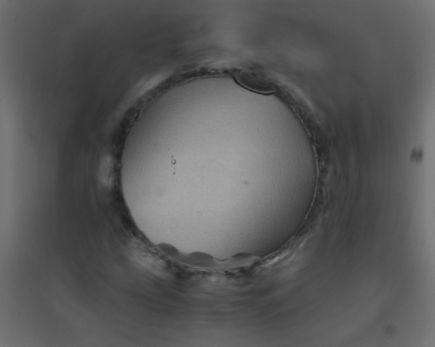 X0000094451207200711211511