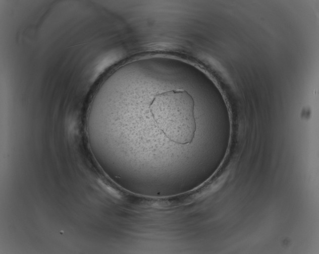 X0000094451210200711211511