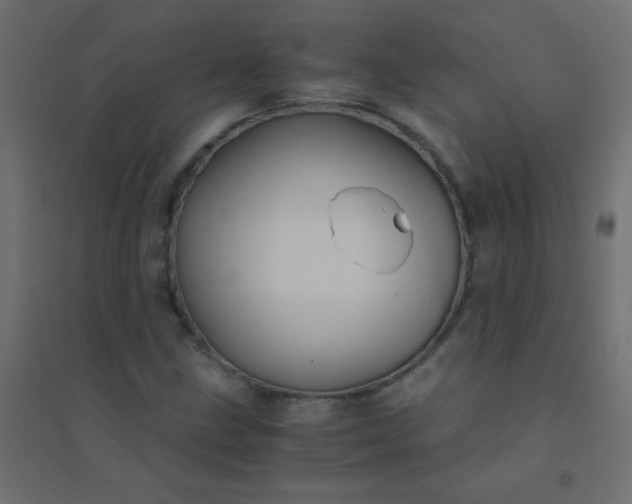 X0000094451211200711211511