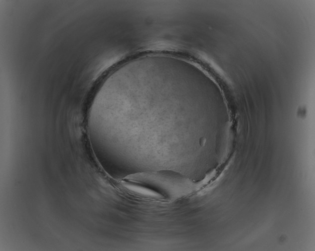 X0000094451213200711211511