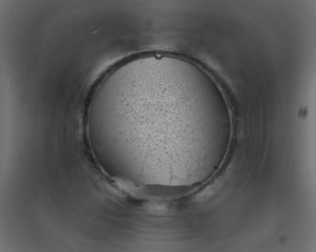 X0000094451214200711211511