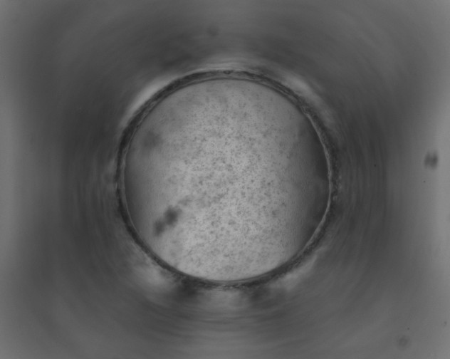 X0000094451216200711211511