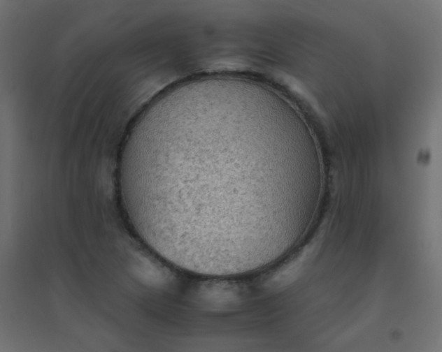 X0000094451217200711211511