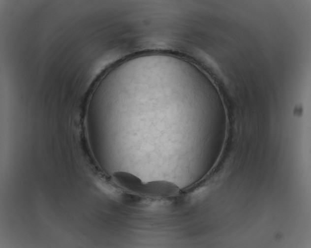 X0000094451218200711211511