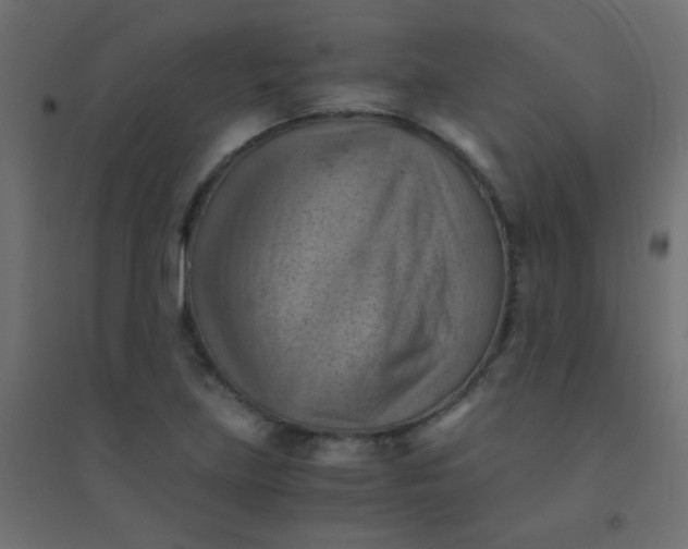 X0000094451219200711211511