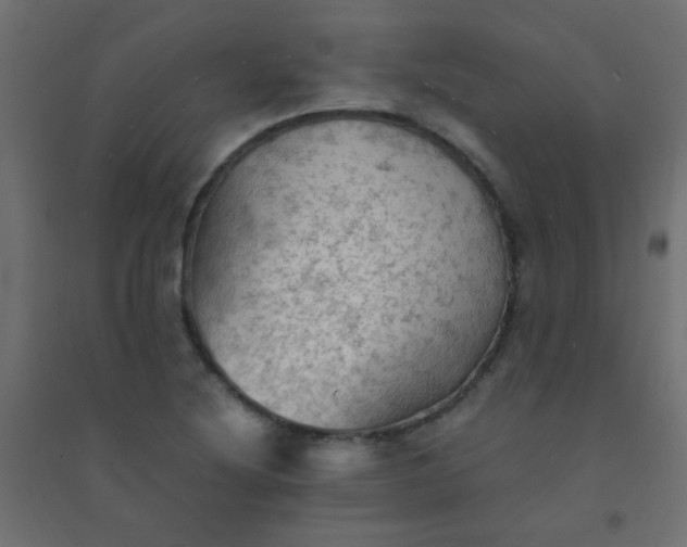 X0000094451220200711211511