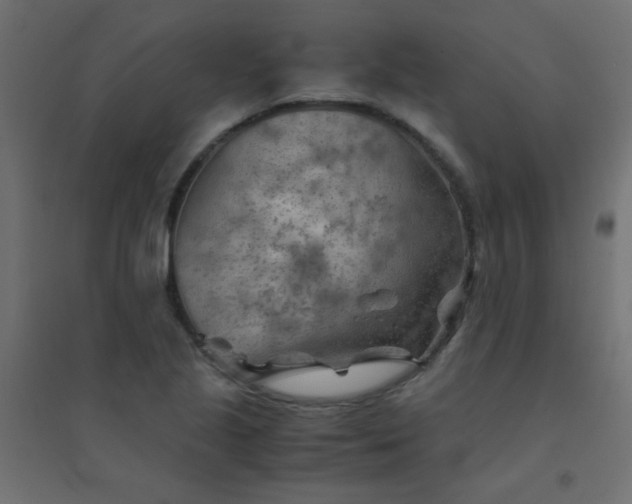 X0000094451221200711211511