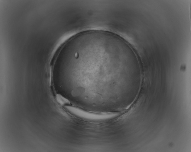 X0000094451223200711211511